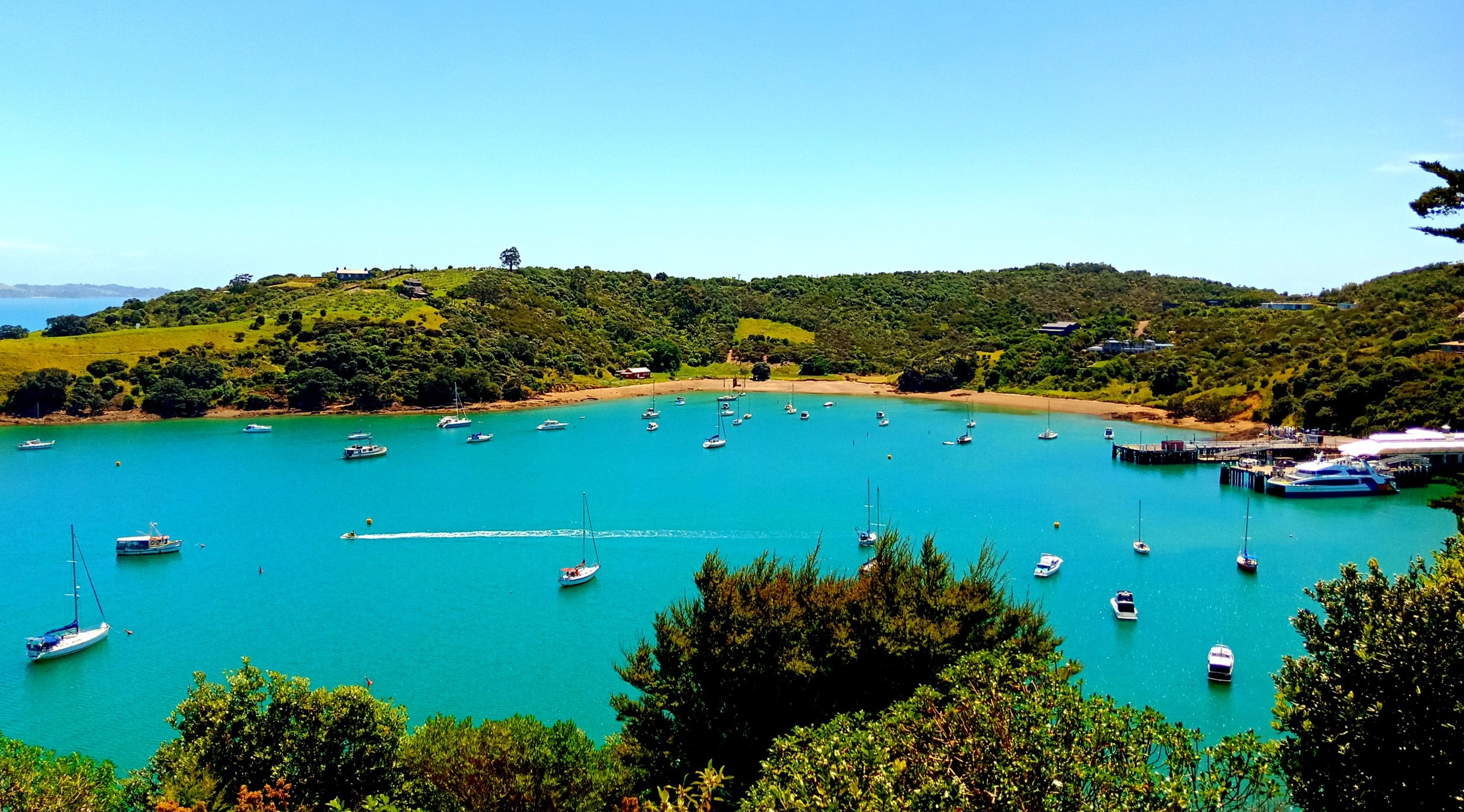 3 days on Waiheke Island ⋆ everlastingwandering