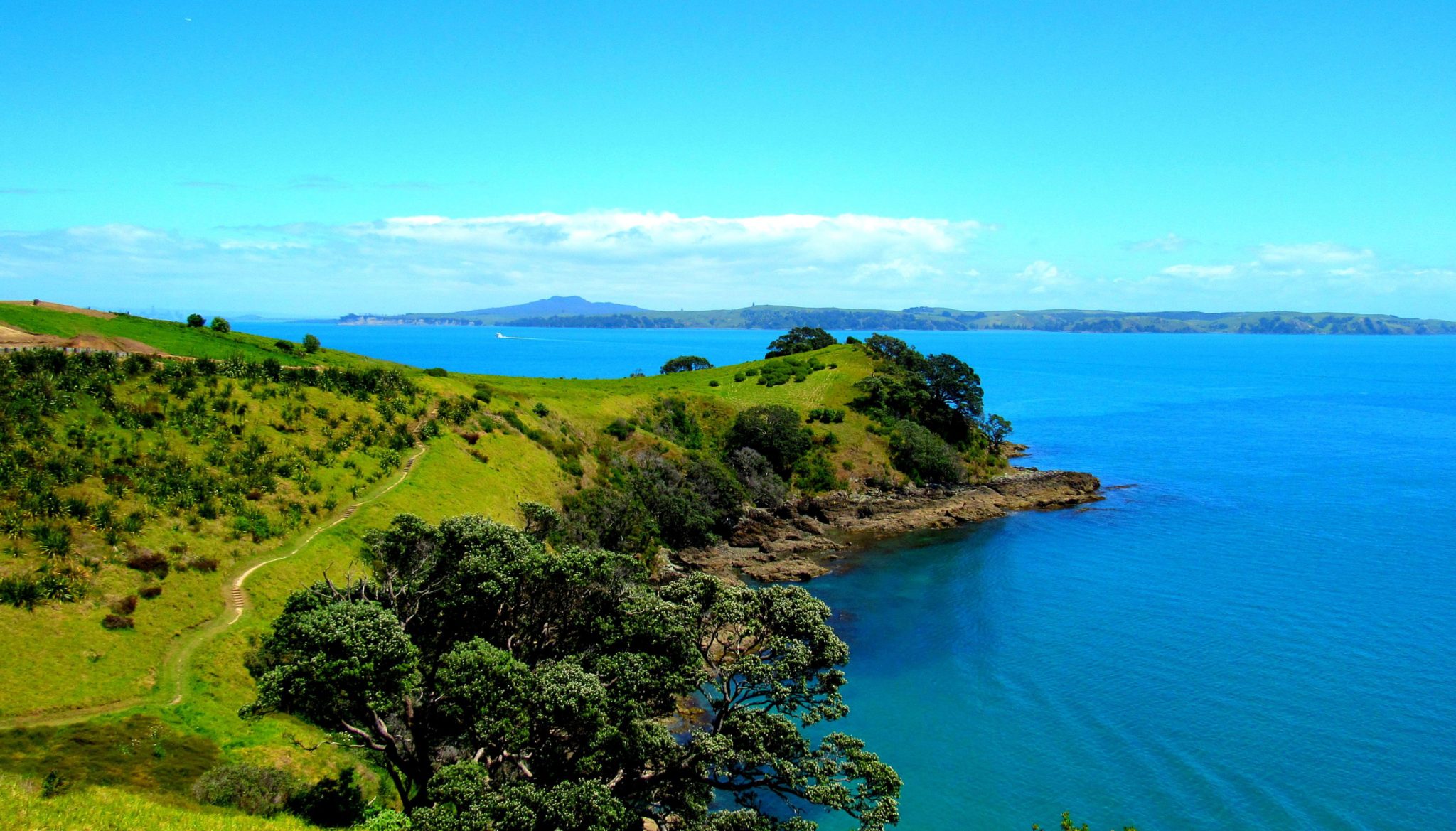 3 days on Waiheke Island ⋆ everlastingwandering